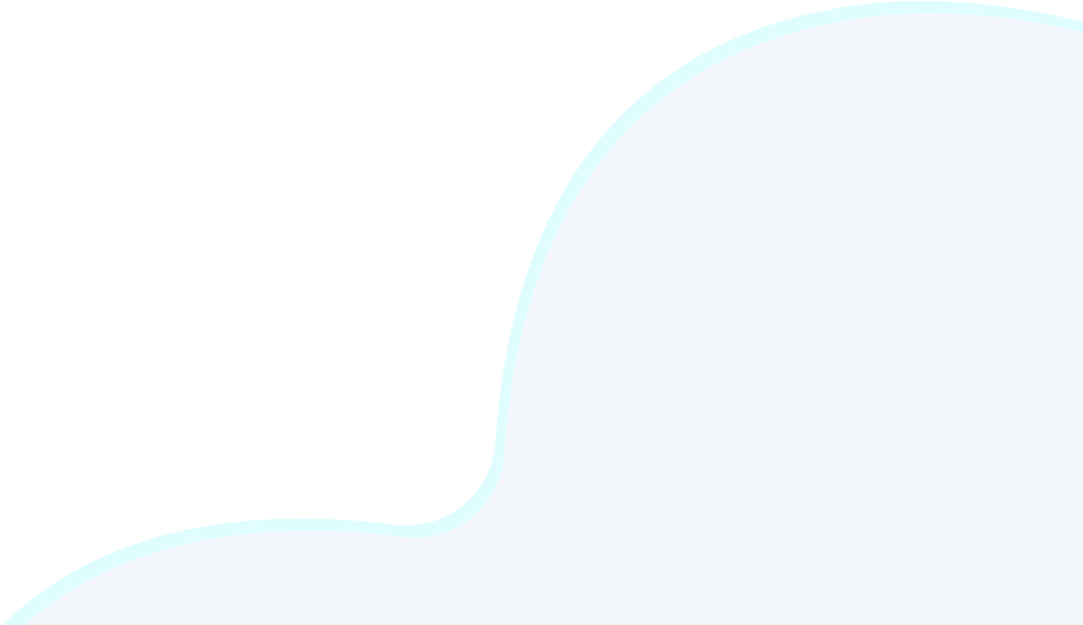 shape_1_1 2025_00
